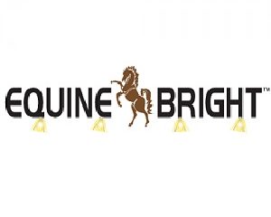 Equine-Bright™ logo